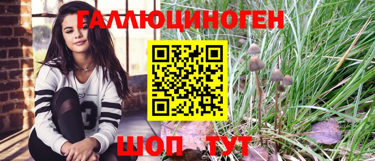 купить наркотик  Вход с VPN  Печора  Псилоцибиновые грибы GOLDEN TEACHER 