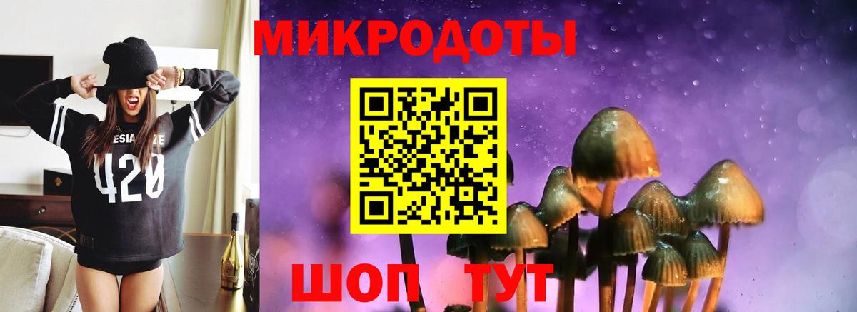 Галлюциногенные грибы Psilocybine cubensis Печора